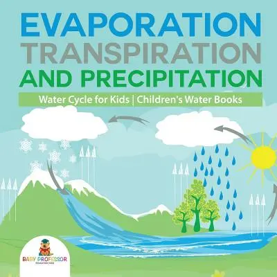 Párolgás, transzpiráció és csapadék - Vízkörforgás gyerekeknek - Gyermekkönyvek a vízről - Evaporation, Transpiration and Precipitation - Water Cycle for Kids - Children's Water Books
