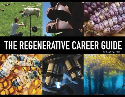 A regeneratív karrierútmutató - The Regenerative Career Guide