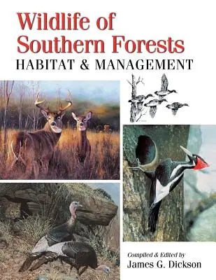 A déli erdők élővilága: Élőhely és gazdálkodás - Wildlife of Southern Forests: Habitat & Management