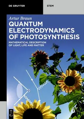 A fotoszintézis kvantumelektrodinamikája - Quantum Electrodynamics of Photosynthesis