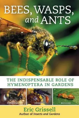 Méhek, darazsak és hangyák: A Hymenoptera nélkülözhetetlen szerepe a kertekben - Bees, Wasps, and Ants: The Indispensable Role of Hymenoptera in Gardens