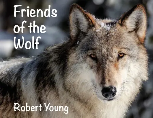 A farkas barátai - Friends of the Wolf