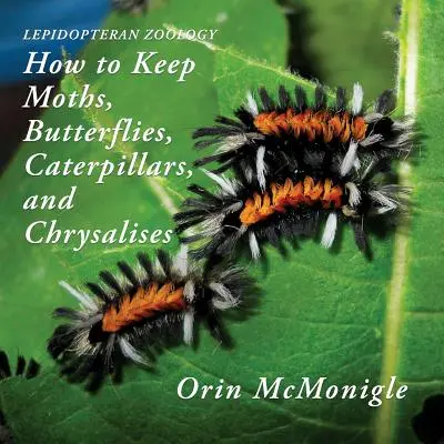 Lepidopteran Zoológia: Hogyan tartsunk lepkéket, pillangókat, hernyókat és krizálokat? - Lepidopteran Zoology: How to Keep Moths, Butterflies, Caterpillars, and Chrysalises