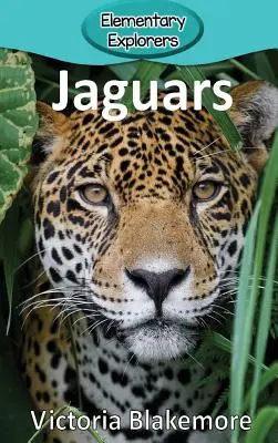 Jaguárok - Jaguars