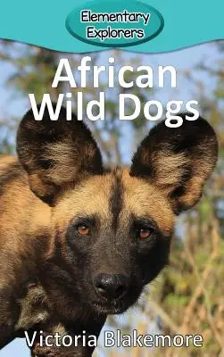 Afrikai vadkutyák - African Wild Dogs