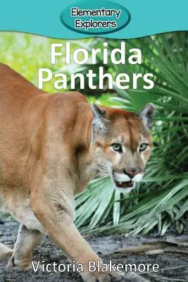 Floridai párducok - Florida Panthers
