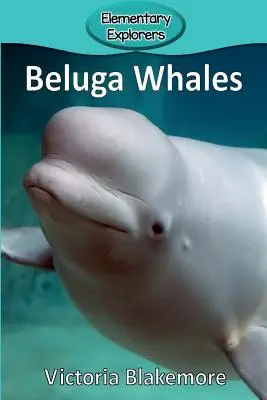 Beluga bálnák - Beluga Whales