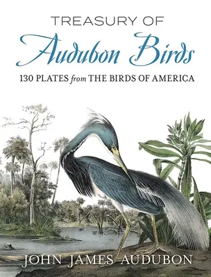 Audubon madarak kincstára: 130 kép Amerika madarairól - Treasury of Audubon Birds: 130 Plates from the Birds of America