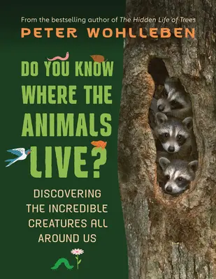 Tudod-e, hol élnek az állatok?: A körülöttünk élő hihetetlen élőlények felfedezése - Do You Know Where the Animals Live?: Discovering the Incredible Creatures All Around Us