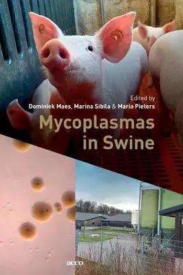 Mikoplazmák a sertésekben - Mycoplasmas in Swine