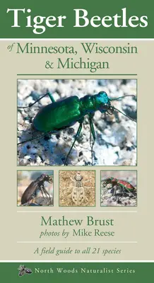 Minnesota, Wisconsin és Michigan tigrisbogarai - Tiger Beetles of Minnesota, Wisconsin & Michigan