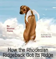 Hogyan kapta a Rhodesian Ridgeback a gerincét? - How The Rhodesian Ridgeback Got Its Ridge