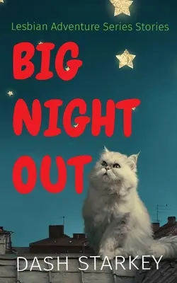 Nagy éjszakai kiruccanás: Leszbikus kalandsorozat történetei - Big Night Out: Lesbian Adventure Series Stories