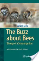 A méhekről szóló hírverés: A szuperorganizmus biológiája - The Buzz about Bees: Biology of a Superorganism