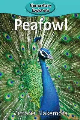 Pávafarkasok - Peafowl