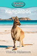 Kenguruk - Kangaroos