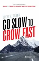 Go Slow to Grow Fast: Hogyan tartsa vállalatát lendületben és virágzóban a gyors tempójú, versengő üzleti világban? - Go Slow to Grow Fast: How to Keep Your Company Driving and Thriving in a Fast-Paced, Competitive Business World