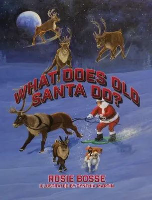 Mit csinál az öreg Mikulás? - What Does Old Santa Do?