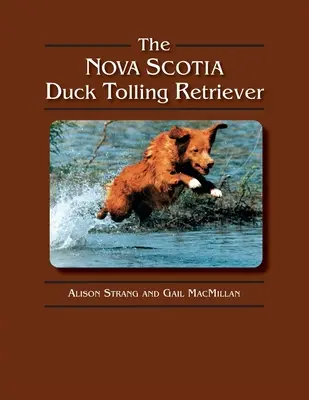 Az új-skóciai kacsatartó retriever - The Nova Scotia Duck Tolling Retriever