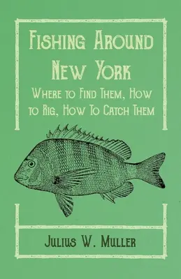 Horgászat New York környékén - Hol találjuk meg őket, hogyan kell horgászni, hogyan fogjuk ki őket - Fishing Around New York - Where to Find Them, How to Rig, How To Catch Them