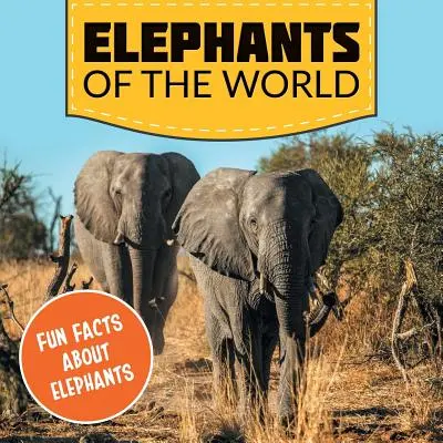 A világ elefántjai: Szórakoztató tények az elefántokról - Elephants of the World: Fun Facts About Elephants
