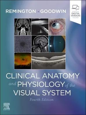 A látórendszer klinikai anatómiája és fiziológiája - Clinical Anatomy and Physiology of the Visual System