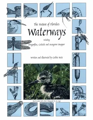 Florida vízi útjainak természete: Beleértve a szitakötőket, a cattafarkakat és a mangrovecsapdát - The Nature of Florida's Waterways: Including Dragonflies, Cattails, and Mangrove Snapper