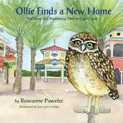 Ollie új otthonra talál: A fülesbagoly története Cape Coralban - Ollie Finds a New Home: The Story of Burrowing Owl in Cape Coral