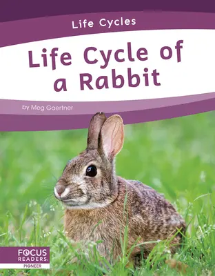 A nyúl életciklusa - Life Cycle of a Rabbit