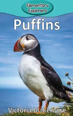 Puffinok - Puffins