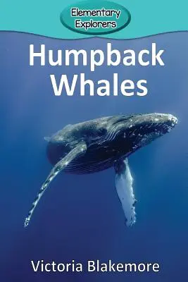 Púpos bálnák - Humpback Whales