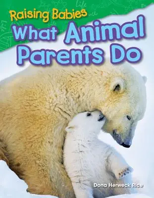 Babák nevelése: Mit tesznek az állatszülők - Raising Babies: What Animal Parents Do