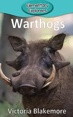 varacskosdisznók - Warthogs