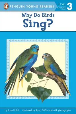 Miért énekelnek a madarak? - Why Do Birds Sing?