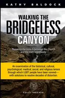 Séta a híd nélküli kanyonban: Az egyház és az LMBTQ közösség közötti szakadék helyreállítása - Walking the Bridgeless Canyon: Repairing the Breach between the Church and the LGBTQ Community