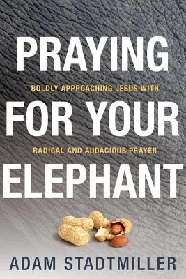 Imádkozás az elefántodért: Bátran közeledj Jézushoz radikális és merész imával - Praying for Your Elephant: Boldly Approaching Jesus with Radical and Audacious Prayer