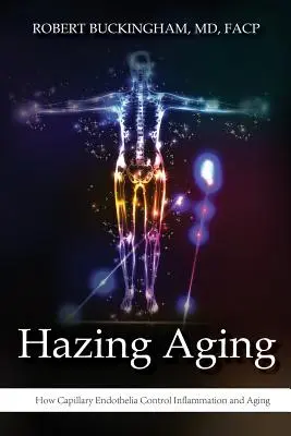 Hazing Aging: Hogyan szabályozzák a kapilláris endotéliumok a gyulladást és az öregedést? - Hazing Aging: How Capillary Endothelia Control Inflammation and Aging