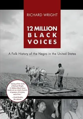 12 millió fekete hang - 12 Million Black Voices