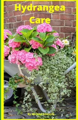 Hortenzia ápolása: Hortenziák ápolása kezdőknek - Könnyű otthoni kertészkedés - Hydrangea Care: How To Care For Hydrangeas For Beginners - Easy Home Gardening