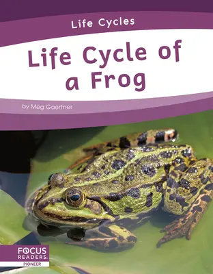 A béka életciklusa - Life Cycle of a Frog