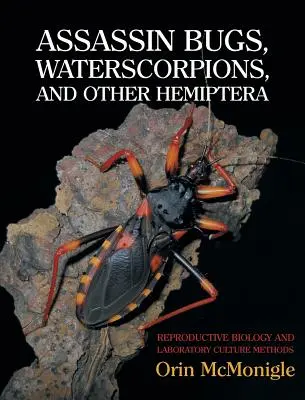 Bérgyilkos poloskák, víziskorpiók és más Hemiptera: Szaporodásbiológia és laboratóriumi tenyésztési módszerek - Assassin Bugs, Waterscorpions, and Other Hemiptera: Reproductive Biology and Laboratory Culture Methods