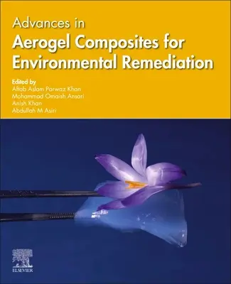 A környezeti kármentesítés aerogélkompozitjainak fejlődése - Advances in Aerogel Composites for Environmental Remediation