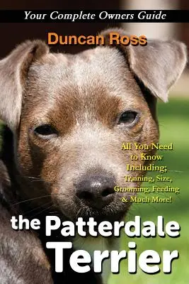 A Patterdale terrier - The Patterdale Terrier