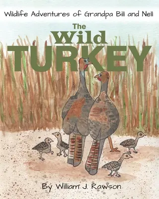 A vadpulyka - The Wild Turkey