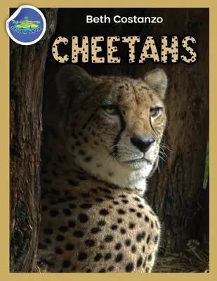 Gepárd Activity Workbook 4-8 éveseknek - Cheetah Activity Workbook ages 4-8