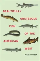 Az amerikai nyugat gyönyörűen groteszk halai - Beautifully Grotesque Fish of the American West