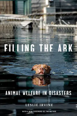 A bárka megtöltése: Animal Welfare in Disasters - Filling the Ark: Animal Welfare in Disasters