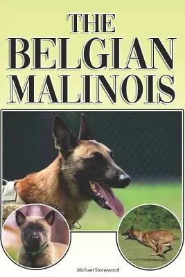 A belga malinois: A Complete and Comprehensive Beginners Guide To: Vásárlás, birtoklás, egészség, ápolás, kiképzés, engedelmesség, megértés - The Belgian Malinois: A Complete and Comprehensive Beginners Guide To: Buying, Owning, Health, Grooming, Training, Obedience, Understanding