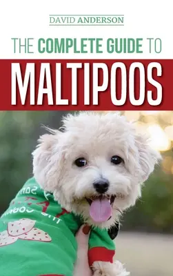 Teljes útmutató a maltipókhoz: Minden, amit a maltipoo kutya beszerzése előtt tudni kell - The Complete Guide to Maltipoos: Everything you need to know before getting your Maltipoo dog