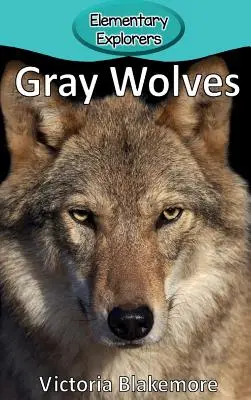 Szürke farkasok - Gray Wolves